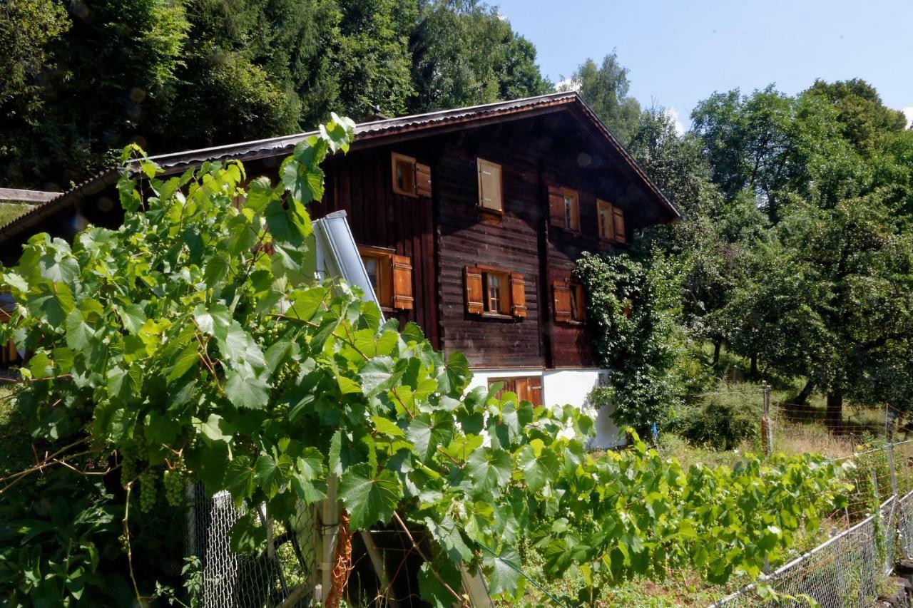 Landhaus Tenne Bartholomäberg Extérieur photo