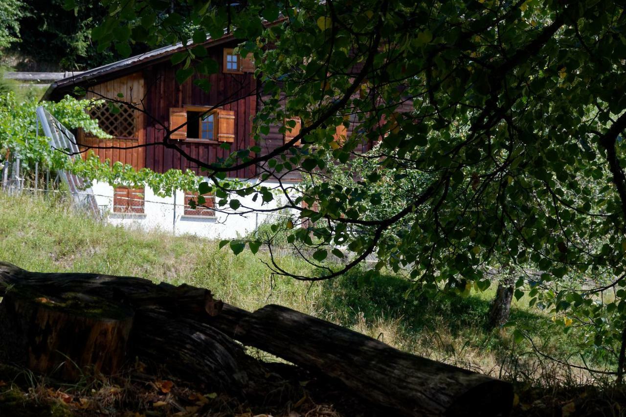 Landhaus Tenne Bartholomäberg Extérieur photo